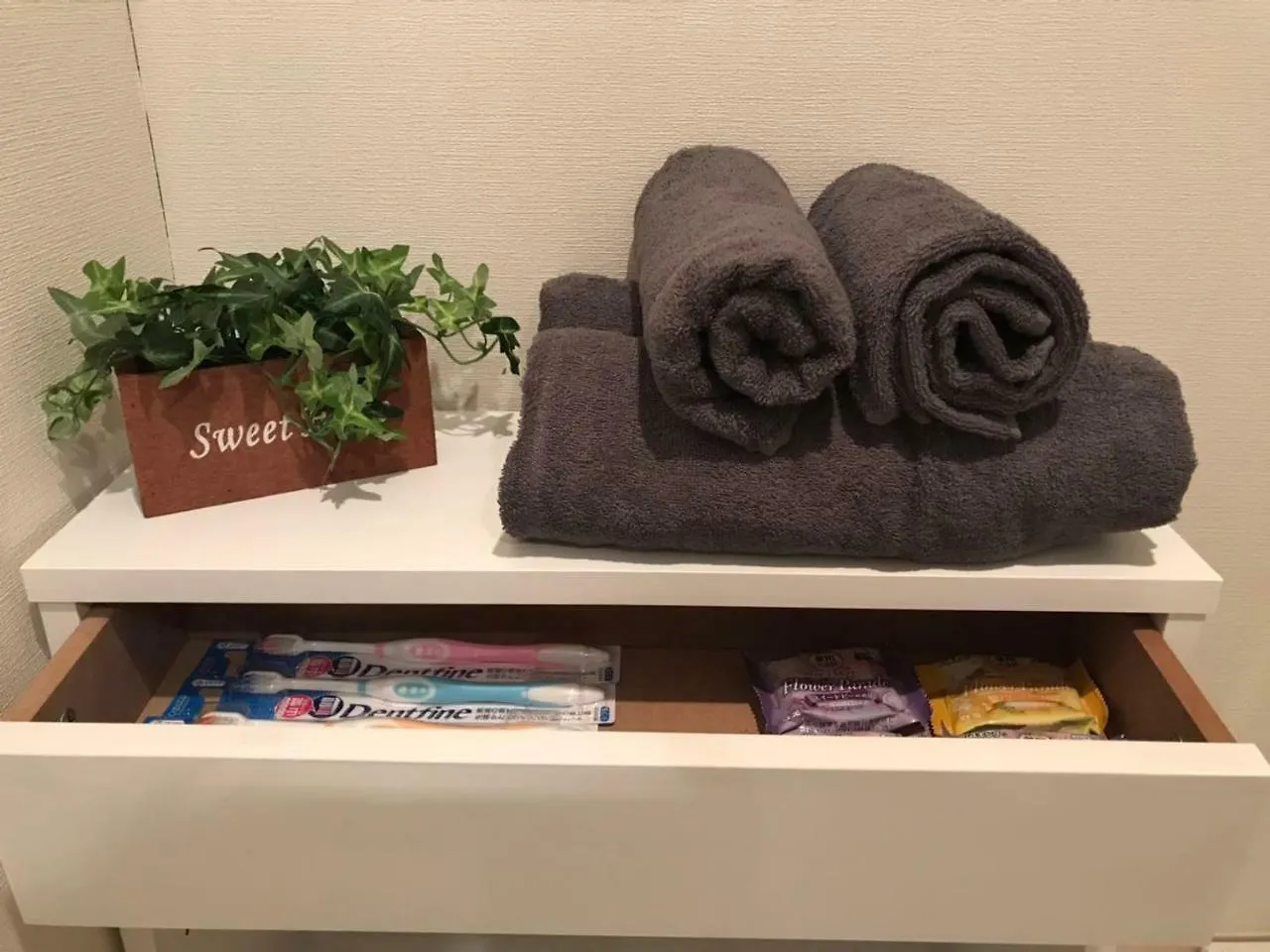 Tokyo Minpaku Aparthotel